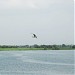 Nyari Lake II in Rajkot city