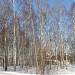 «Березовий гай» в місті Дєдовськ