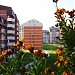 Trkalište (en) in Шабац city