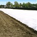 Dubois Agrinovation -Irrigation systems, plastic mulch film and row covers supplier