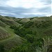 Saskatchewan Landing Provincial Park