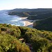 Royal National Park