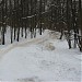 Переход Битцевской аллеи через приток Дубинкинской речки в городе Москва