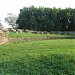 Amphitheatre of Aquincum