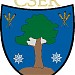 Csér