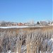Пруд в городе Павловский Посад