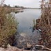 Первый Домашанский ставок в городе Лозовая