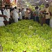 Kallar Vettu Festival Area, Thaeri, Near TeriKudiyiruppu