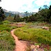 Santa Barbara Botanic Garden