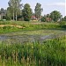 Заболоченный пруд в городе Ашукино