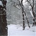 Спортзал в городе Сокол