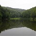 Lake with lilies