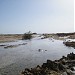 Ras Sidr Artesian Well/Hot Springs