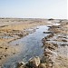 Ras Sidr Artesian Well/Hot Springs