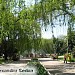 Parcul central 