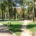 Parcul 