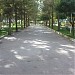 پارک لاله in مشهد city