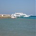 King Tut Diving Center (en) في ميدنة الغردقة    