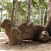 Khu di tích Khmer Nam Bộ trong Thành phố Trà Vinh - Tra Vinh City thành phố