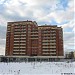 17-й микрорайон (Ядреево) в городе Мытищи