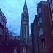 Votive Church and Cathedral of Our Lady of Hungary