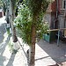 Октябрьская ул., 7 в городе Таганрог