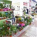 Mercado Municipal  en la ciudad de Denia (Comunitat Valenciana)