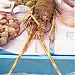 Cofradía de Pescadores (de) en la ciudad de Denia (Comunitat Valenciana)