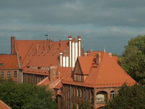 Klaipėdos Universiteto Pedagogikos Fakultetas - Klaipėda