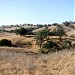 Upper Las Virgenes Canyon Open Space Preserve