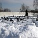 Старо-Покровское кладбище в городе Москва