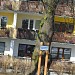 Lipa Rabina Kaliszera in Toruń city