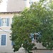 a former windmill (en) dans la ville de Marseille