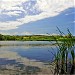 Lesichovo Dam