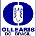 Ollearis do Brasil na Guarulhos city