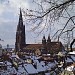 Catedral de Friburg de Brisgòvia