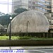 Concha Acústica in Londrina city