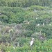 Nature Conservation Area/Park of Tien Hai District