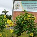 Headquarters of the Scout of Balneario Camboriu - Scout Group Sea Lion in Balneário Camboriú city