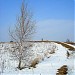 Meškonys - Struve Geodetic Arc