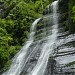 Parque Nacional El Guácharo