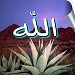 عايزه حاجاتى من وادى الملوك---ليست مجرد مكتبه !!!؟؟؟ تليفاكس 6365025 in Faiyum city