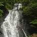 Waterfall Area - Bamonbudo.