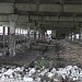 Разрушенные коровники