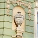 Городская усадьба В. Е. Морозова — памятник архитектуры в городе Москва
