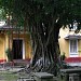 Ngự Tiền Văn Phòng (vi) in Hue city