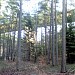 Najwyższy wiadukt Trasy im. E. Kwiatkowskiego in Gdynia city