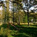 Детская горка в городе Москва