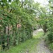 Koszary Sowińskiego (Koszary Bramy Lubickiej) - Archiwum Wojskowe w Toruniu in Toruń city