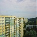 Brodwino (pl) in Sopot city